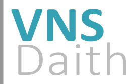 VNS logo